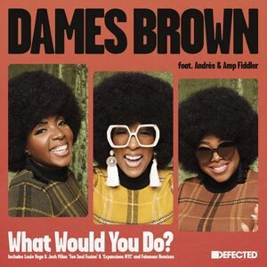 Dames Brown - What Would You Do? (Remixes)  12-INCH SINGLE